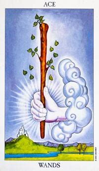 ace of wands as intentions|Ace of Wands as What Someone Wants (Upright & Reversed)。